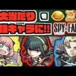 【SPY×FAMILY】超当たりキャラを更に強く!!!『ロイド』『ヨル』『アーニャ』《全3キャラおすすめのわくわくの実》カスタム候補多くて個性出そう!!【ぺんぺん】