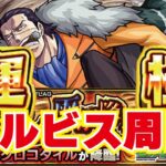 【モンスト】🔴クロコダイル！４倍！フルビスケット周回！運極まで貼り続けます！守護獣周回×２倍！