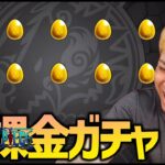 【モンスト】無課金オーブでワンピースコラボガチャ引いたらとんでもないことになった【ぎこちゃん】