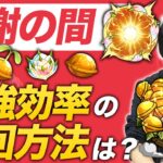 【モンスト】感謝の間出現中！結局ワンパン周回とどっちが効率が良いのか考察&各種注意点を紹介！【しろ】