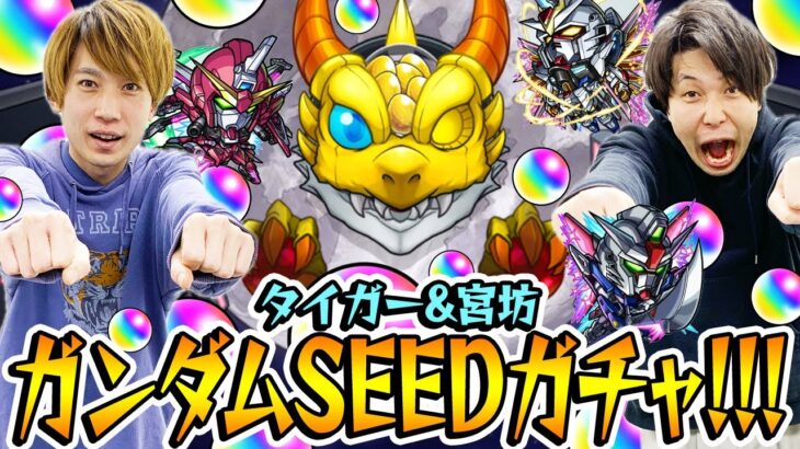 【動画まとめ】【モンスト】M4タイガー桜井&宮坊のガンダムSEED FREEDOMコラボガチャ！キラ&ラクス/アスラン/シン狙い！【ガンダムコラボ第2弾】