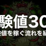 【動画まとめ】【経験値30倍〜書庫編〜】経験値の稼ぎ方やおすすめクエストと編成紹介【モンスト】