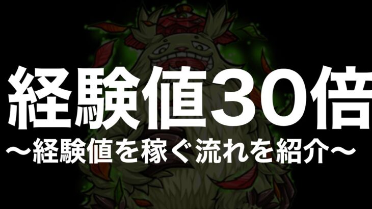 【動画まとめ】【経験値30倍〜書庫編〜】経験値の稼ぎ方やおすすめクエストと編成紹介【モンスト】