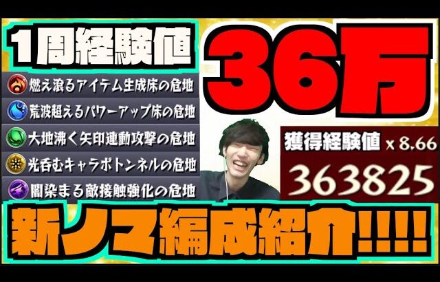 【動画まとめ】【新ノマクエ】ベル1周36万経験値!!!各属性のとりあえずこんな感じでやるかも編成紹介!!!【ぺんぺん】