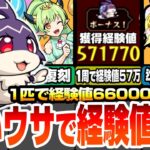 【動画まとめ】【モンスト】1周で経験値57万！神イベ『けいウサ』に備えよう！効率良いランク上げの為に事前準備が重要！周回は絶対にアレを使おう！復刻されたリドーラ姫を周回しよう！【モンフリ】【へっぽこストライカー】