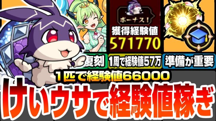 【動画まとめ】【モンスト】1周で経験値57万！神イベ『けいウサ』に備えよう！効率良いランク上げの為に事前準備が重要！周回は絶対にアレを使おう！復刻されたリドーラ姫を周回しよう！【モンフリ】【へっぽこストライカー】