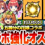 【動画まとめ】【モンスト】五等分コラボの強化オススメ！引いたら確認しよう！わくわくの実セットや戦型の書を使うべきキャラ！一緒に組むキャラも考慮したオススメ強化まとめ！超獣神祭【五等分の花嫁】【へっぽこストライカー】