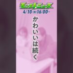 【動画まとめ】かわいいは続く。「#モンパル」キャンペーンもまだまだ続く！詳細は4/10の#モンストニュース！【モンスト公式】