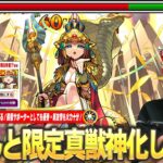 【動画まとめ】【モンスト】しろ「これはちゃんと限定真獣神化の性能してる！」新時代の割合毒ショットスキルが楽しすぎる！毒キラー持ちと相性抜群、サポート力＆新友情も火力十分！『クレオパトラ真獣神化』使ってみた！【しろ】