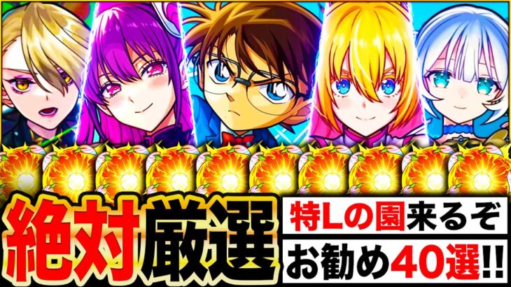 【動画まとめ】【モンスト】今夜開幕！特Lの園で絶対に厳選すべきキャラ＆お勧めのわくわくの実解説40選《2025年〜コナンコラボ第2弾まで》