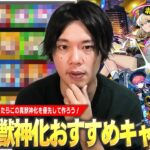 【動画まとめ】【モンスト】しろ「迷ったらこのキャラたちは絶対作っておこう！」真獣神化かなり増えてきたけど…現環境で優先すべきキャラは？2025年最新版『真獣神化おすすめキャラ』しろ的Tierランキング！【しろ】