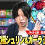 【動画まとめ】【モンスト】久しぶりに運枠が必要な周回系の超究極！結構難しいけど適正キャラの幅は広い！《ガチャ限・加速枠・降臨運枠》3つの視点から超究極『シュリン＆ガーラ』しろ的適正Tierランキングを紹介！【しろ】