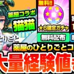 【動画まとめ】【モンスト】超大量経験値きた！薬屋のひとりごとコラボ開催！猫猫は遅延＆回復SS！壬氏は超レアなクリティカルSS持ち！しかし属性ガチャコラボ…。調薬で豪華アイテム！【薬屋コラボ】【へっぽこストライカー】