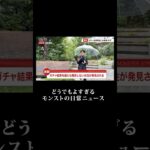 【モンスト動画】【速報】〇〇な女性が発見されました #どうでもよすぎる日常のニュース #モンスト #モンスターストライク