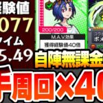 【動画まとめ】【モンスト】『自陣無課金』4手高速周回×経験値40倍でランク上げ2編成『超絶 ポメラニアンズ』シュウジのマヴ効果で超効率ランク上げ！ハロ守護獣の森【ジークアクスコラボ】【へっぽこストライカー】