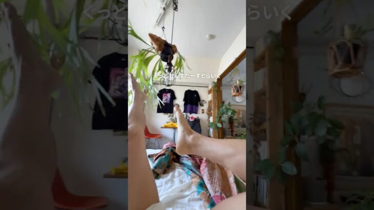 【モンスト動画】ぐっどもんすたーすとらいく☀️7/12(土)・7/13(日)楽しみ❤️‍🔥#1人暮らし #モンスト #モンドリ