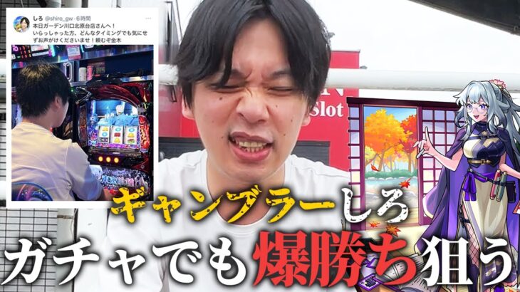 【動画まとめ】【モンスト】ギャンブラーしろ、モンドリ前だけど爆勝ち目指してガチャに挑む！新限定『いろは』狙いで激獣神祭ガチャ引き散らかした結果！【しろ】