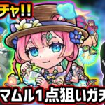 【動画まとめ】【🔴モンストライブ】夏αガチャ開催！新キャラ『マムルα・ラクリィα・TFAα』狙いでガチャるぞ！！！【けーどら】