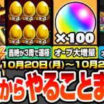 【動画まとめ】【モンスト】月曜からやることまとめ※オーブ大増量※書庫絶級が約3周で運極でヤバい！超究極彩グランギニョルの最新適性オススメ！周回すべき降臨と適性キャラ今週のキャンペーン【モンフリ】へっぽこストライカー