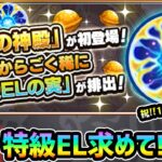 【動画まとめ】【🔴モンストライブ】※特級ELを求めて！！新ステージ『原生の神殿』周回しまくるぞ！【けーどら】