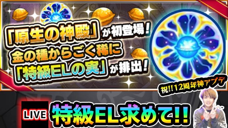 【動画まとめ】【🔴モンストライブ】※特級ELを求めて！！新ステージ『原生の神殿』周回しまくるぞ！【けーどら】