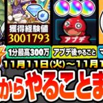 【動画まとめ】【モンスト】火曜からやることまとめ※衝撃のオーブ数※超豪華報酬GETを簡単達成方法！1周で最高300万経験値の超ランク上げ！アプデ後はコレをやろう！周回すべき降臨とキャンペーン【へっぽこストライカー