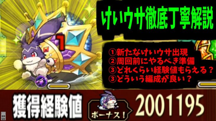 【動画まとめ】【周回解説】これがけいウサを超えたけいウサ…「キングけいウサ」ってとこかな【モンスト】